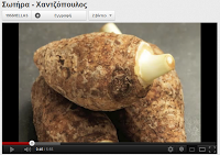 a 6 Favorite Videos, Nea Famagusta