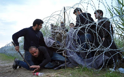 a 19 News, Europe, Immigration, Refugees
