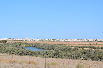 DSC 3267 News, Paralimni Lake, Motorcycle, Nea Famagusta, Environment, Today