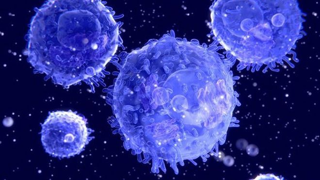 kill switch cancer cells Τεχνολογία
