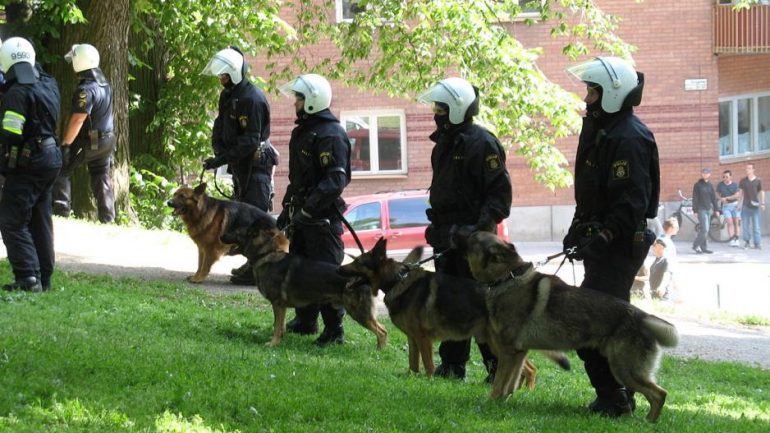 1200px swedish police dogs ΗΠΑ, ΠΥΡΟΒΟΛΙΣΜΟΙ, ΣΧΟΛΕΙΟ