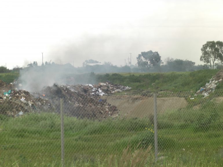 CIMG0059 Environmental Movement, Nea Famagusta, Environment, Garbage