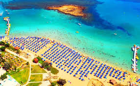download Fig Tree Bay