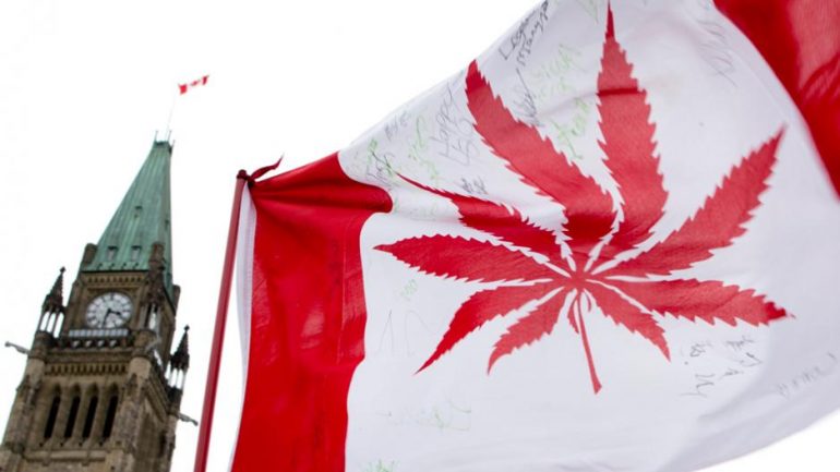 pot Canada, cannabis, JUSTIN THIRD