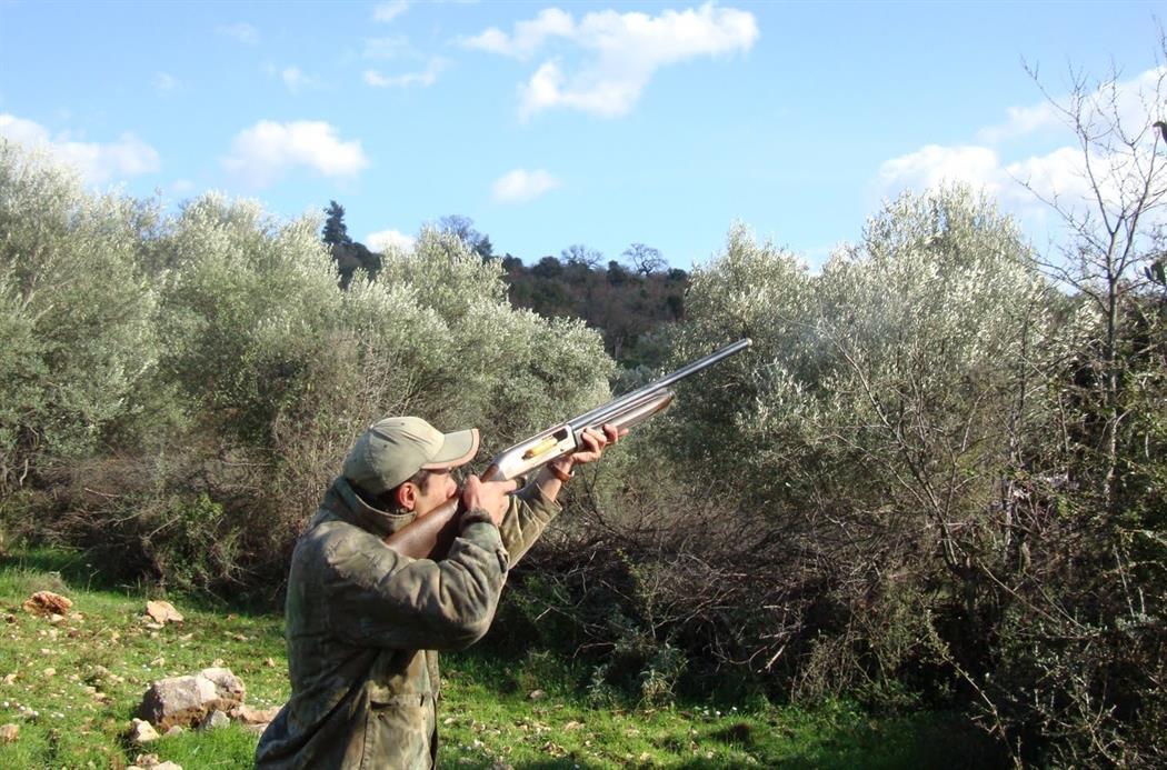 Κίνημα Κυπρίων Κυνηγών, Κυνήγι