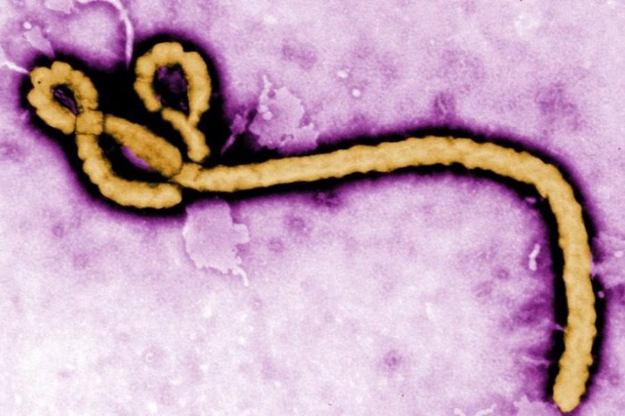 Ebola virus alert in Europe