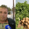 Snapshot 2019 01 10 08.11.37 exclusive, Georgia, Nikos Vasilas, Potato Growers, Achnas Dam, Achnas Fence