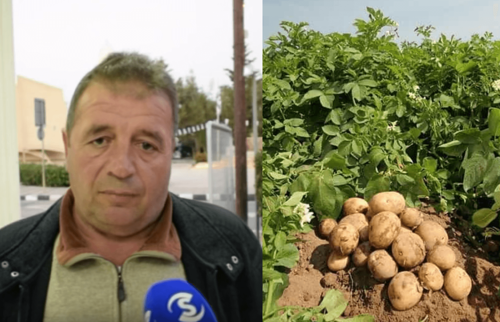Snapshot 2019 01 10 08.11.37 exclusive, Georgia, Nikos Vasilas, Potato Growers, Achnas Dam, Achnas Fence