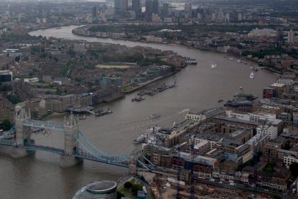 Cocaine use causes over-stimulation in Thames eels Londoners