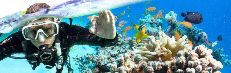 Diving Extension of the tourist season, Deputy Ministry of Tourism
