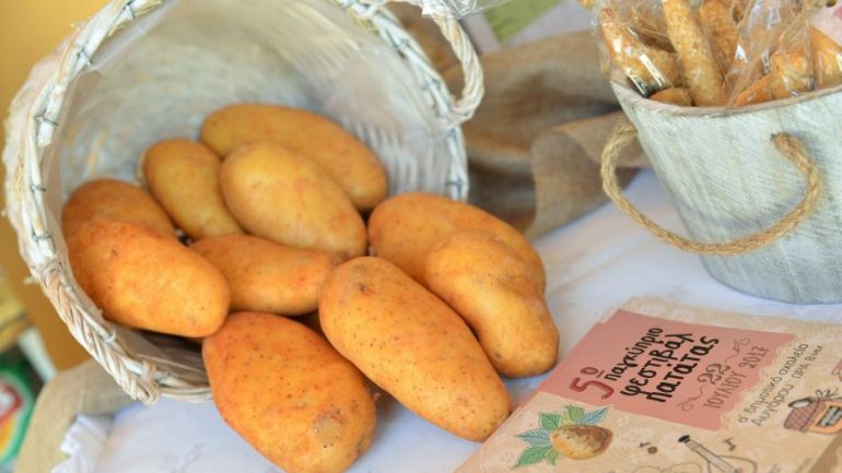 Potato Experiments 7th Pancypriot Potato Festival, Cooking Competition, Nea Famagusta