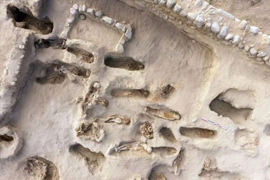 Peru: Excavation reveals largest human sacrifice of children