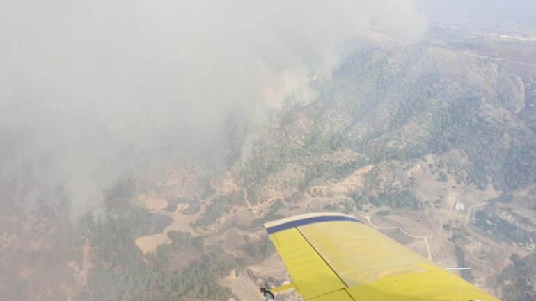 pyrkagia akamas 13 11 2019 Akama Forest, Paphos, complete extinguishing, Fires