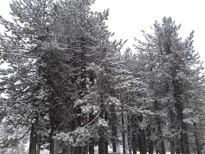 2 2 Weather, first snow, Troodos