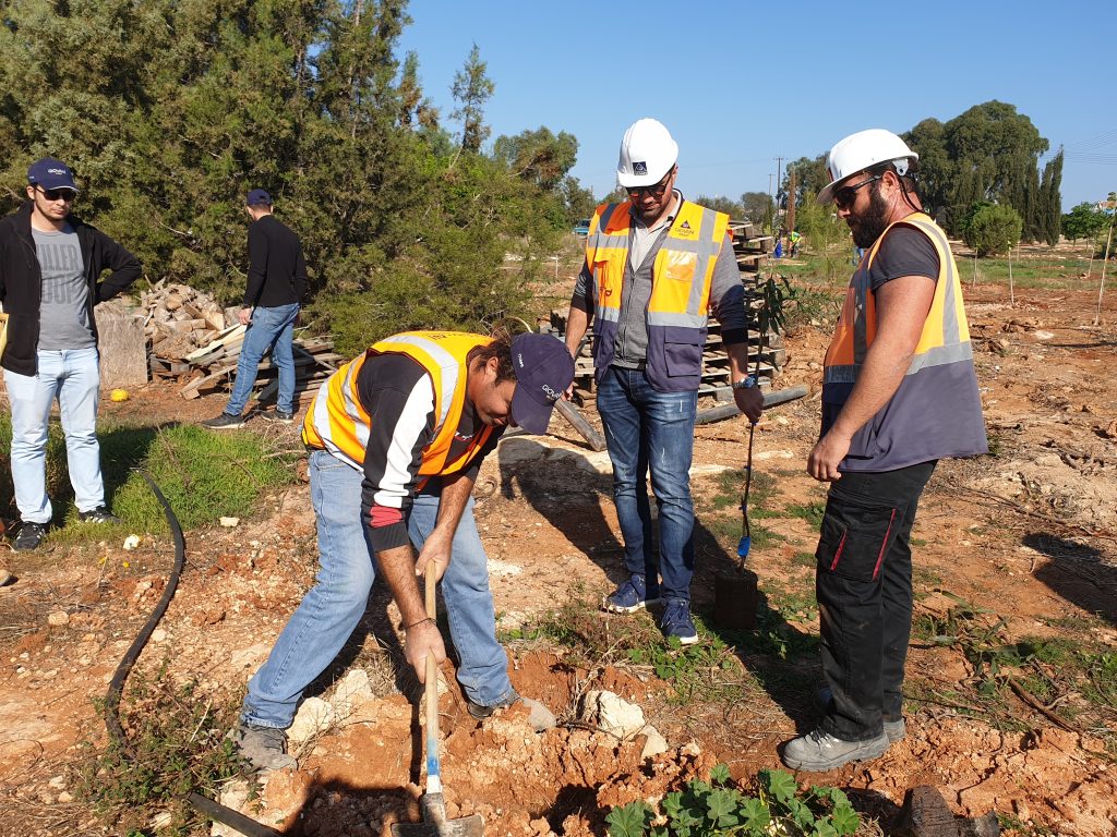 20191207 103835 Giovani, Tree planting, Municipality of Sotira, Environment, Environmental actions