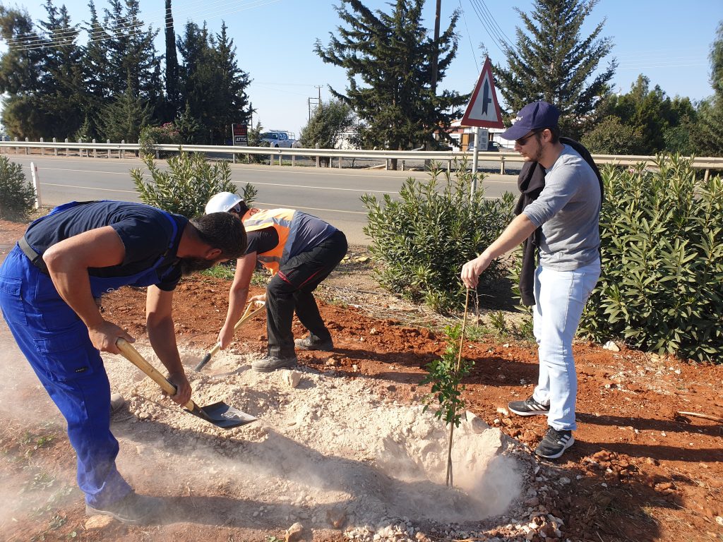 20191207 110809 Giovani, Tree planting, Municipality of Sotira, Environment, Environmental actions