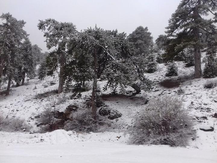 5 2 Weather, first snow, Troodos