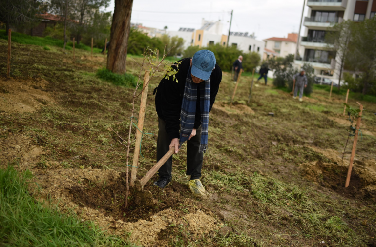 1 Alexis Galanos, tree planting, Committee of Occupied Municipalities, Academy Park, former mayor of Famagusta, Department of Forests