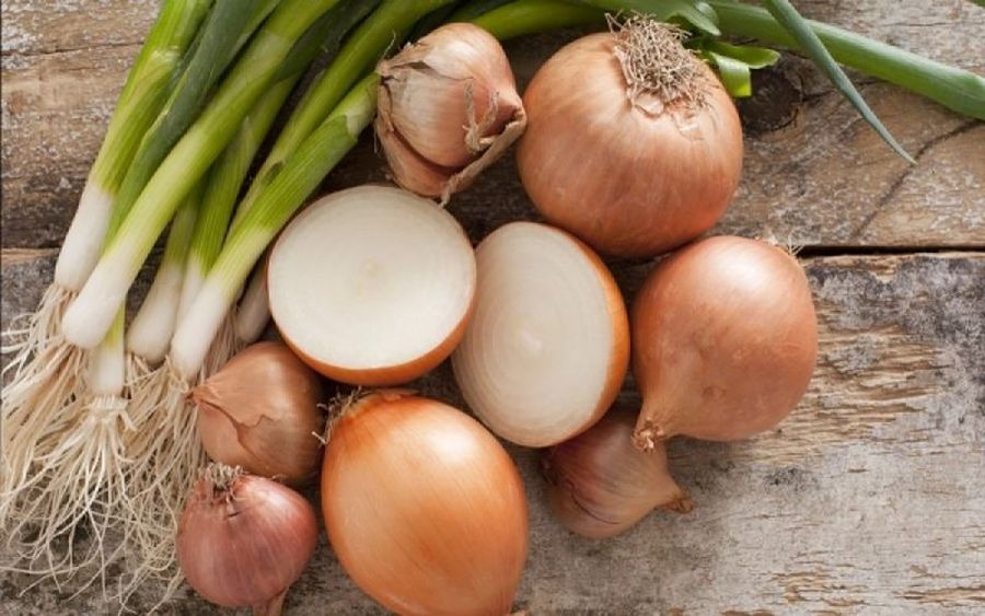 bay, onion, onions