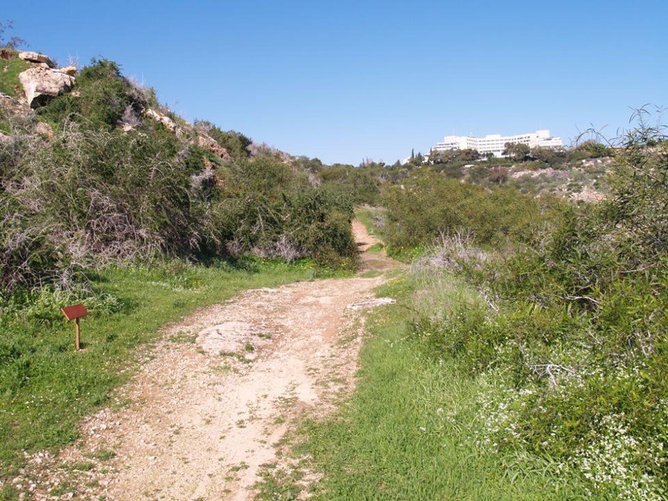 natural trails Coronavirus, Nea Ammochostos, Nea Famagusta, Protaras