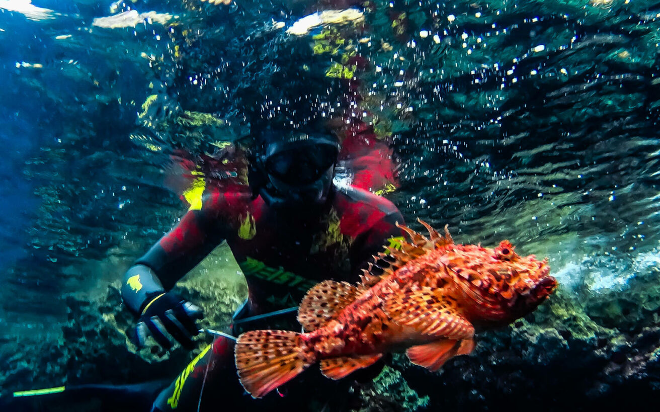 wwkn 000 1312x819 1 Youtube, video, free diving, Sea, Nea Famagusta, world record, rib, underwater fishing, octopus, FISHING, fish, snorkeling