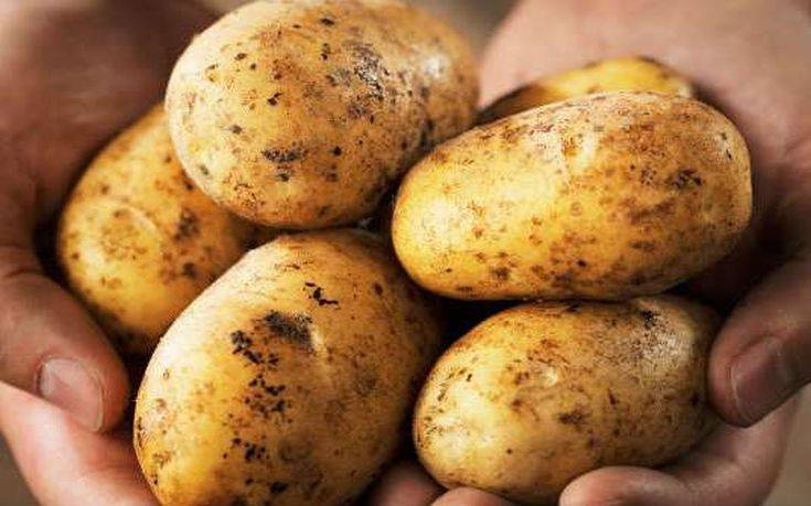 yjyjyj Nea Famagusta, Potatoes