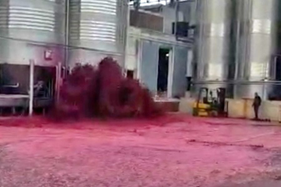 Испания: из-за поломки бака пролито 50.000 литров красного вина