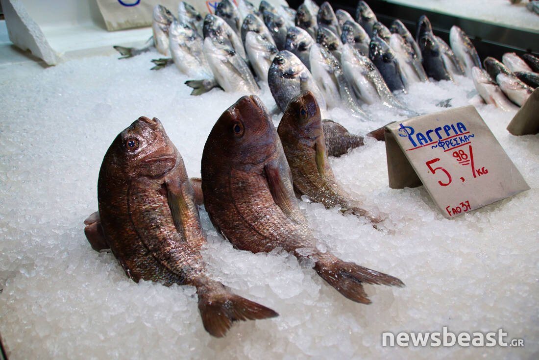 1682 1 VARVAKIOS AGORA, fresh fish, fish