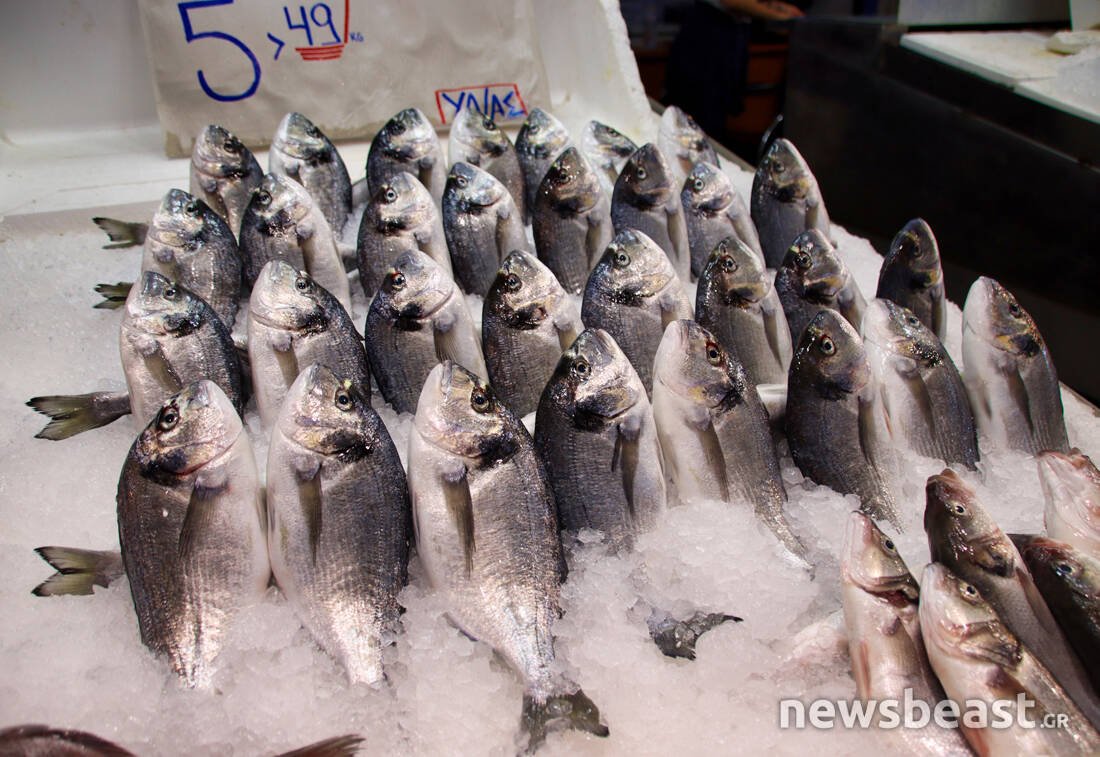 1691 1 VARVAKIOS AGORA, fresh fish, fish