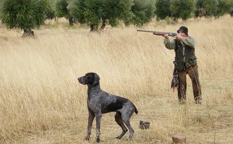 Cazador cazando Movement of United Cypriot Hunters, Hunting, new measures