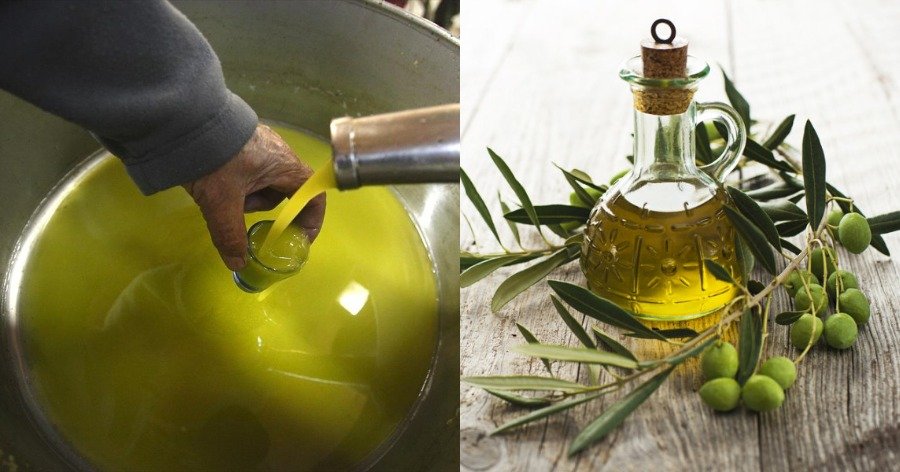 to agoyrelaio i allios protolado oi eyergetikes idiotites olive oil, OLIVE, oil
