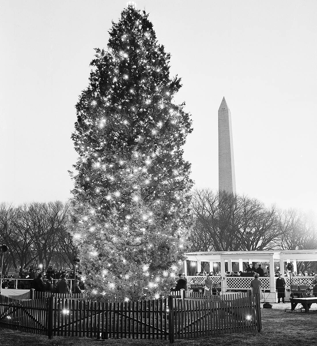 ap 401224135 lights, CHRISTMAS TREE