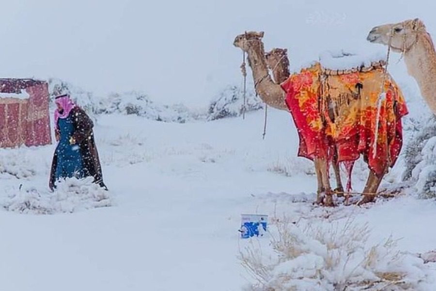 Χιόνισε στη Σαχάρα