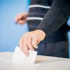 EKLOGES 5 Муниципальные выборы, Выборы в местные органы власти