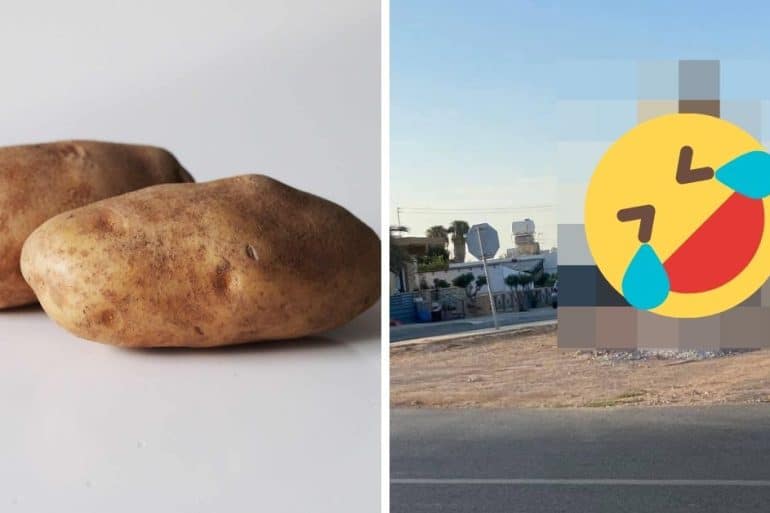 Main Image x2 1 potato