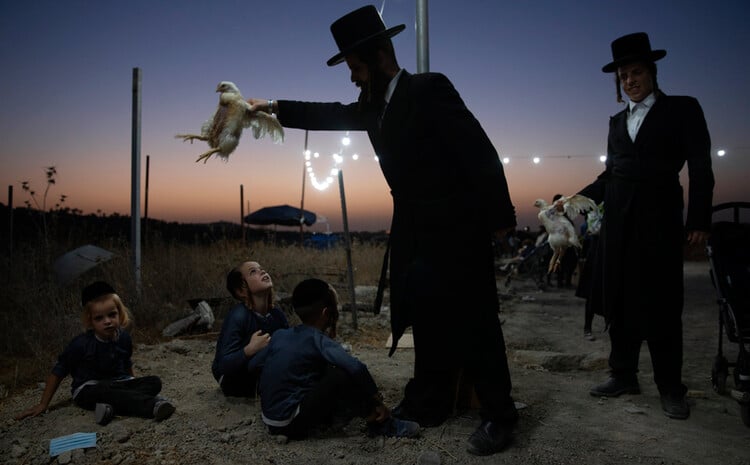 foto evdomadas5 1 Associated Press, Greece, the best photos of the week