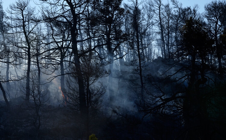 greece wildfires2 Associated Press, Греция, лучшие фотографии недели