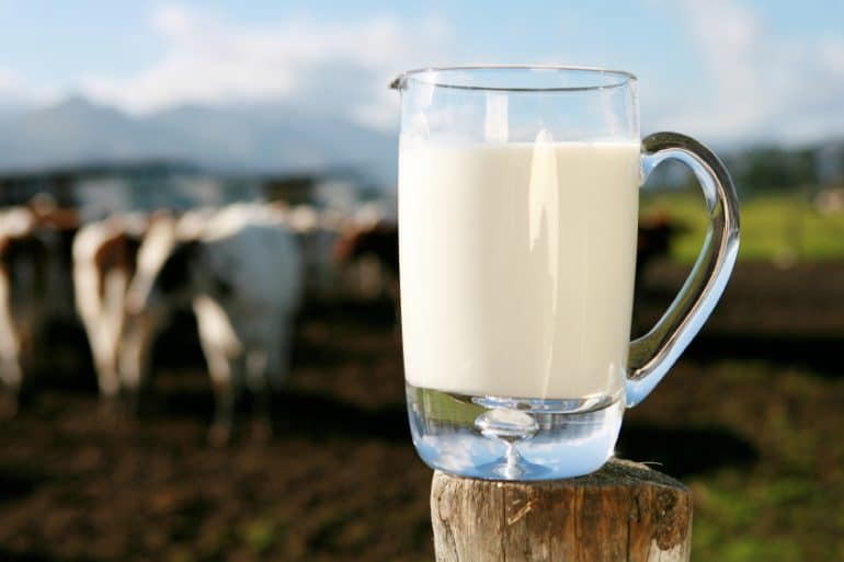 молоко2 подорожание, молоко, цена