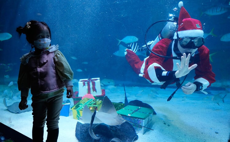 Underwater Santa Claus