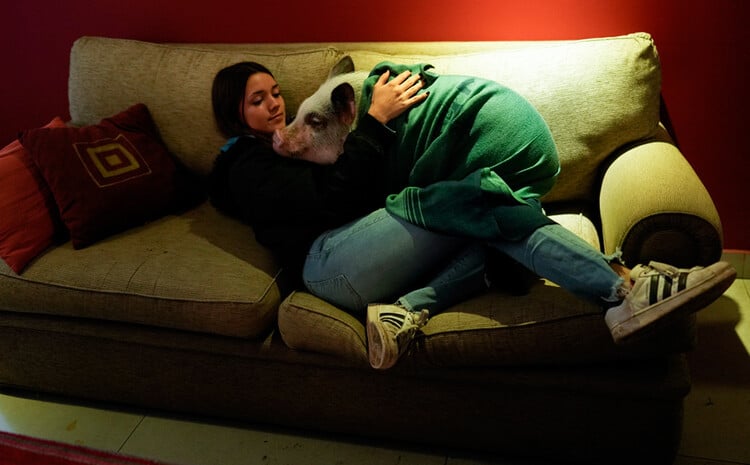 A woman cuddling with a pig