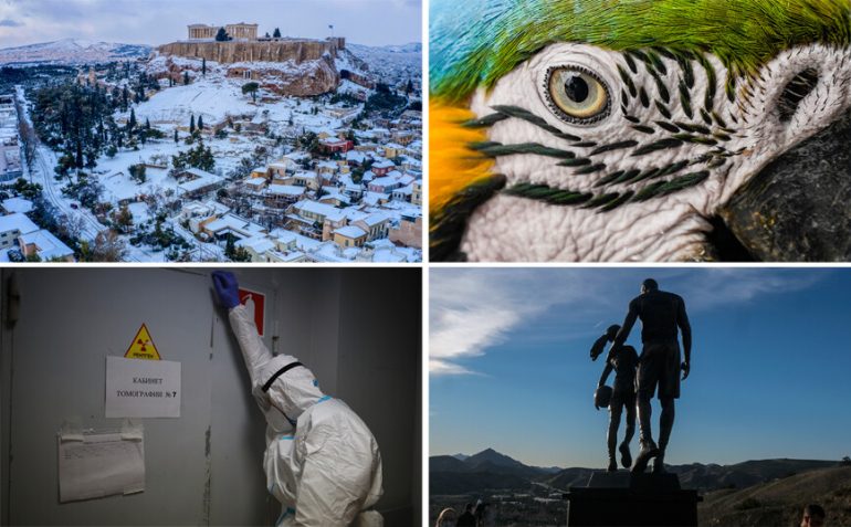 athina xionia papagalos lobe rosia Associated Press, Греция, лучшие фотографии недели
