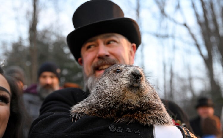 groundhog Associated Press, world, the best photos of the week