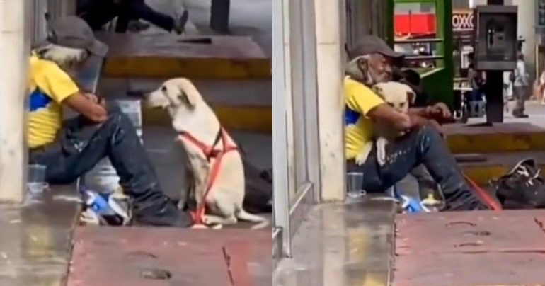 536 homeless, Video, DOG