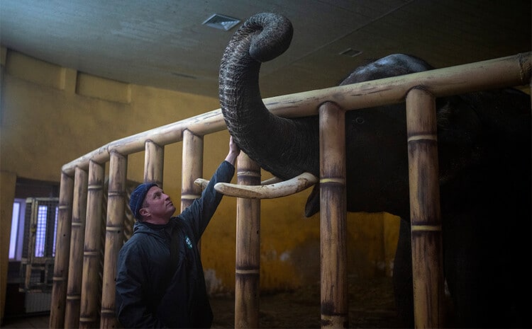 oukrania rwsia polemos6 Associated Press, world, the best photos of the week