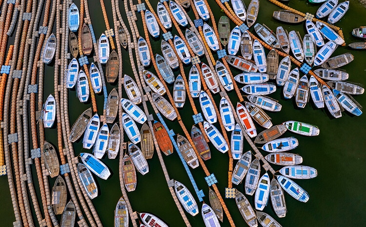 Many boats in the marina