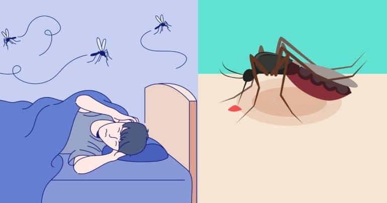 894 κουνούπια, ΦΥΣΙΚΟ ΕΝΤΟΜΟΑΠΩΘΗΤΙΚΟ