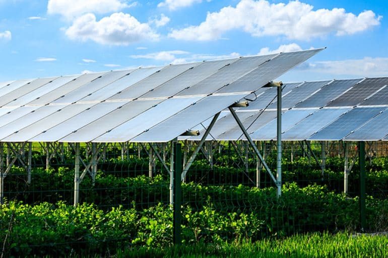 Agro solar innovation Photovoltaic Park