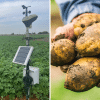 photo 3 exclusive, Agriculture, Euroagricultural, Potatoes, Potato growers