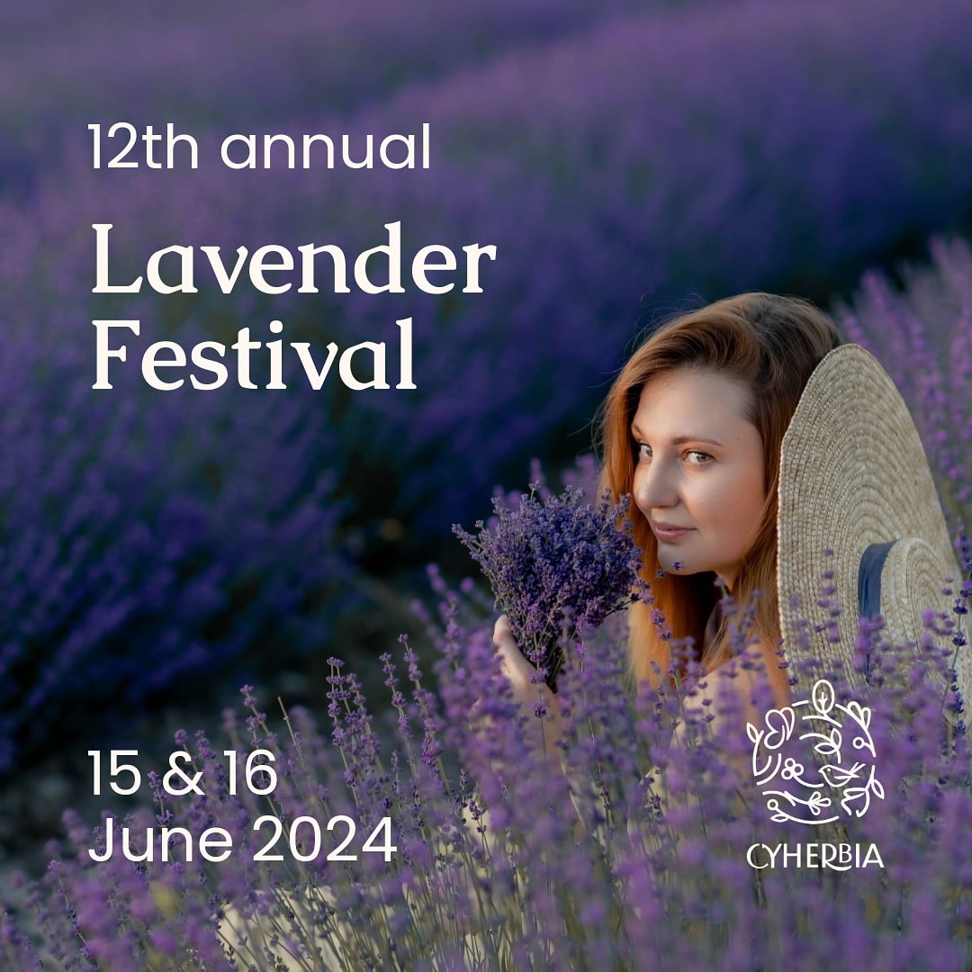 Avgorou: 12th Annual Lavender Festival at Cyherbia Botanical Park ...