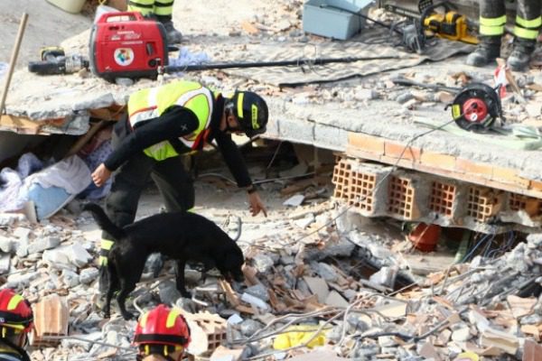 Earthquake in Albania: 31 dead